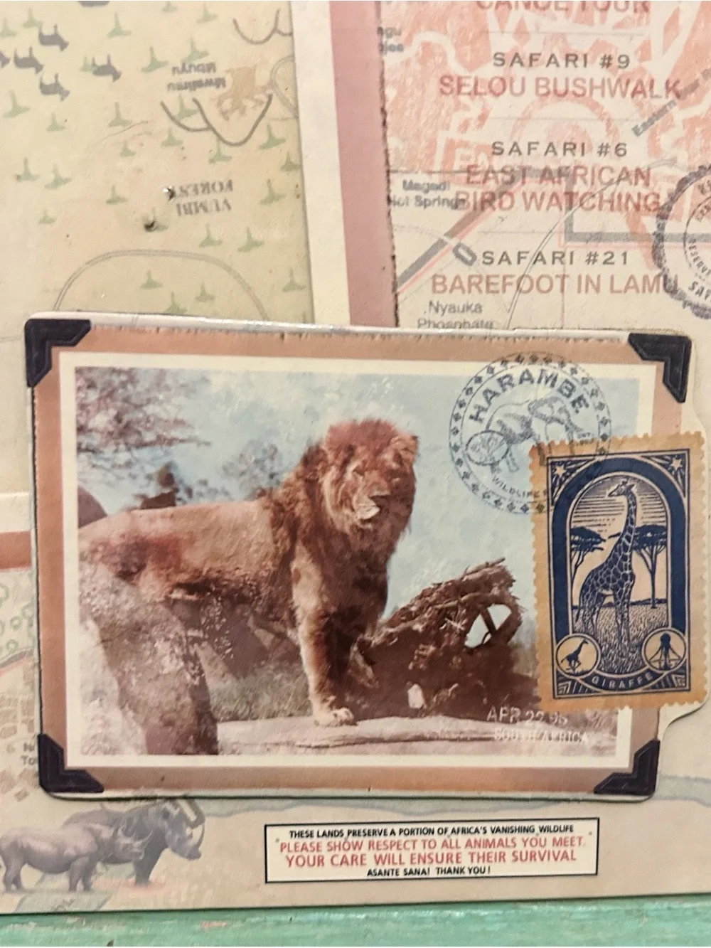 Walt Disney World Disney’s Animal Kingdom Kilimanjaro Safaris Harambe Frame
